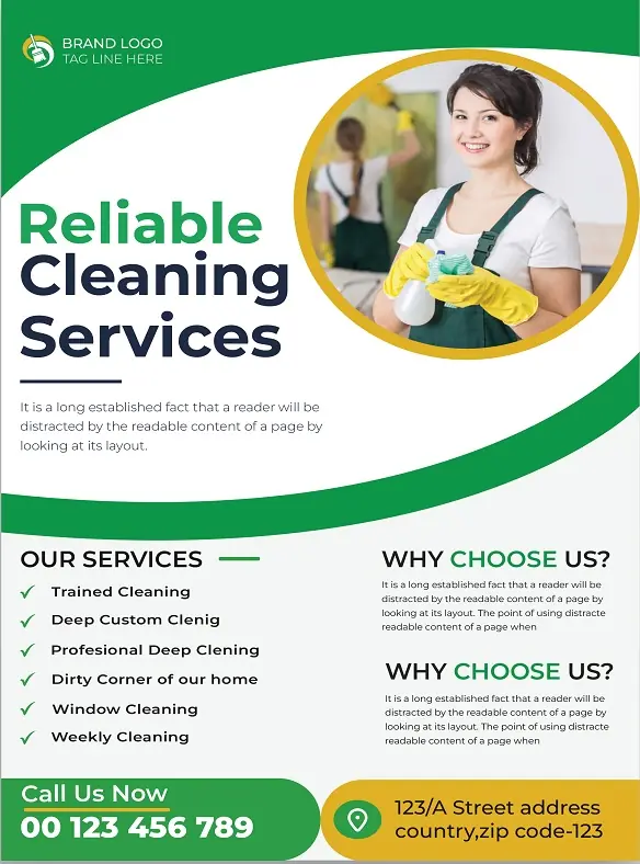 Cleaners Flyers 291